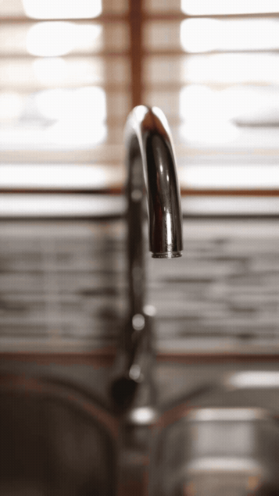 Step 2: Customize Options